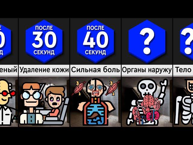 Что Будет с Телом Без Кожи?