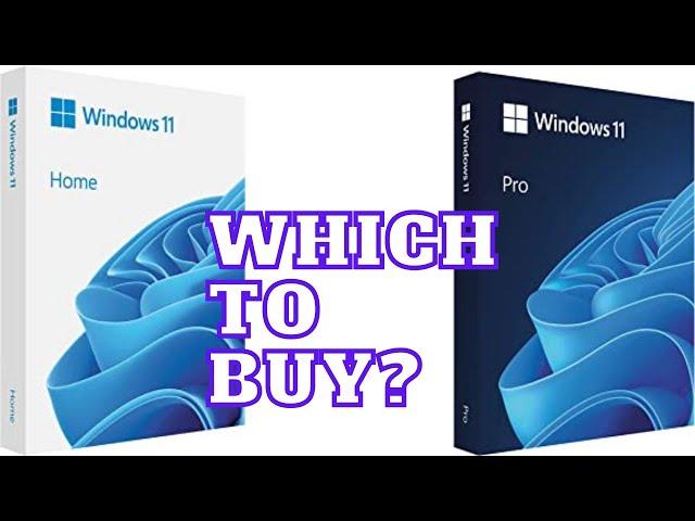 Should I buy Home or Pro edition Windows 11