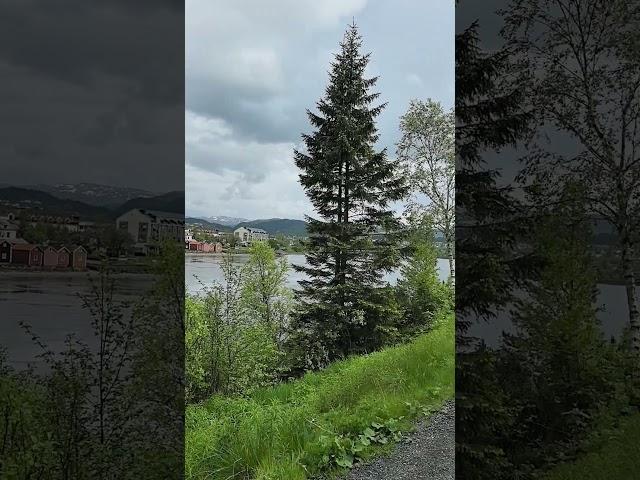 красивый город Mosjøen Norwey #babakova