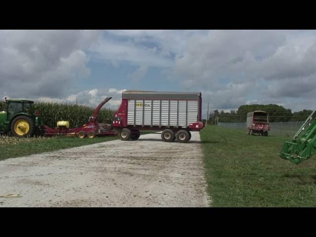 Fungicides Applications Improve Corn Silage Feed Efficiency