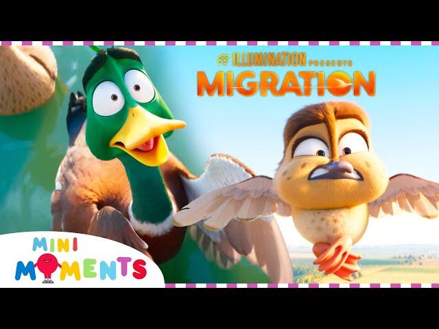 Best Of Migration  | Migration | HD | Compilation | Movie Moments | Mini Moments