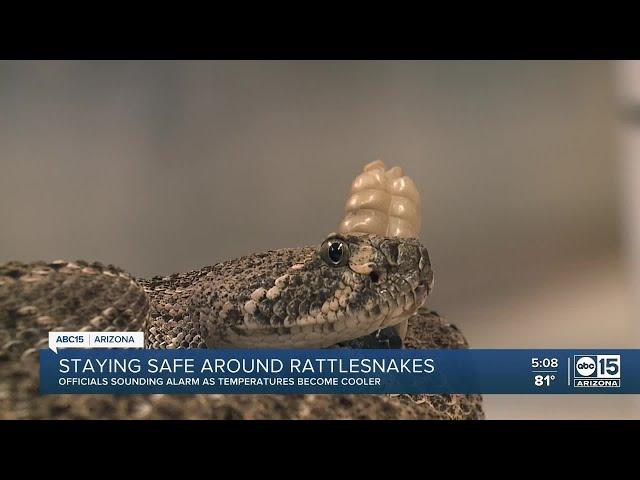 Officials sounding alarm for rattlesnake safety as temperatures cool