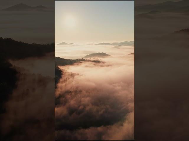 Through the Golden Valley | 4K Cinematic Drone Footage Above the Clouds