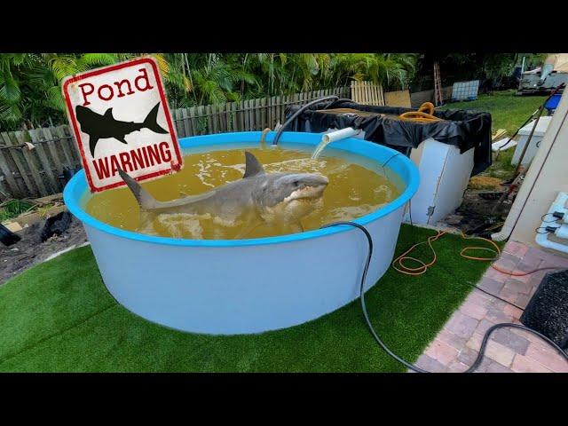 NEW Jaws Pond For Giant Predators Fish! **Beware**