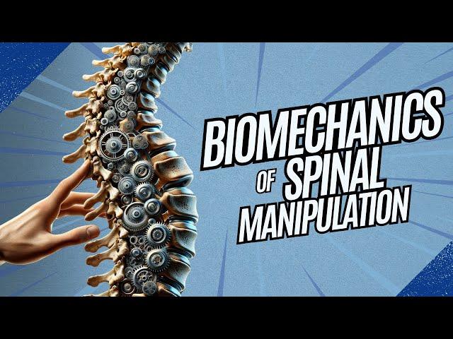 How Chiropractic Adjustments Really Work [Evidence based explanation]