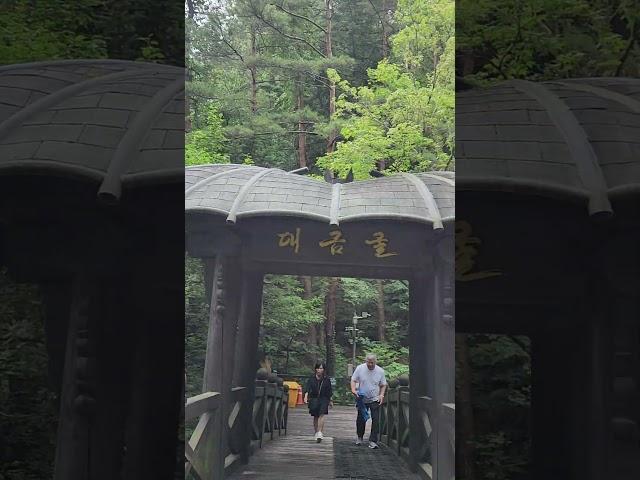 환선굴 또 보고싶다