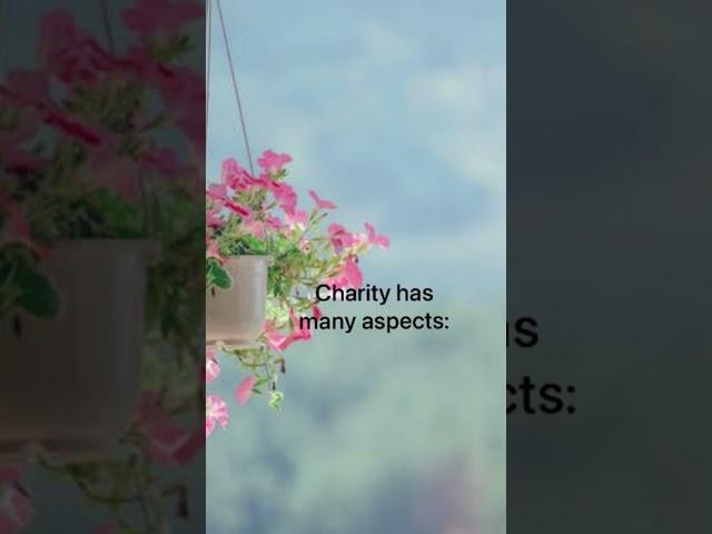 The meaning of charity