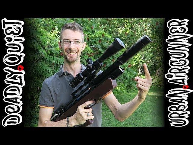 Taipan Veteran Suppressor Test | Part 2 | Airgun Evolution