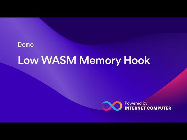 Low WASM Memory Hook | Demo