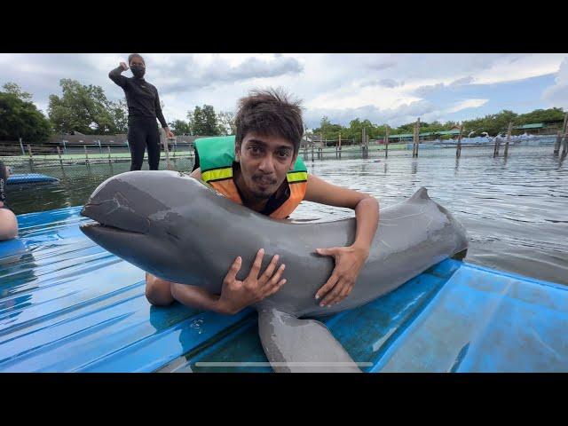 শেষ দে আৰ - Swimming with Dolphins in Thailand 