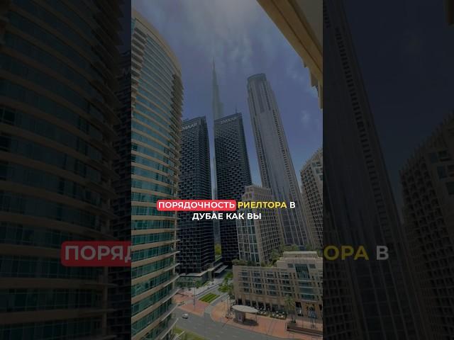 Как проверить риелтора в Дубае? #дубай #недвижимость #оаэ
