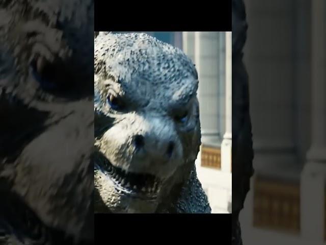 #godzilla and #kong face off #godzillaxkong