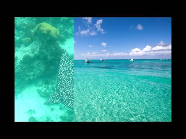Turks and Caicos islands HD