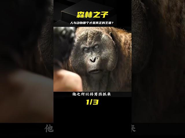 奇幻之旅，森林之子：人與動物的最大差異是什么？ #电影 #电影解说 #影视 #影视解说 #剧情