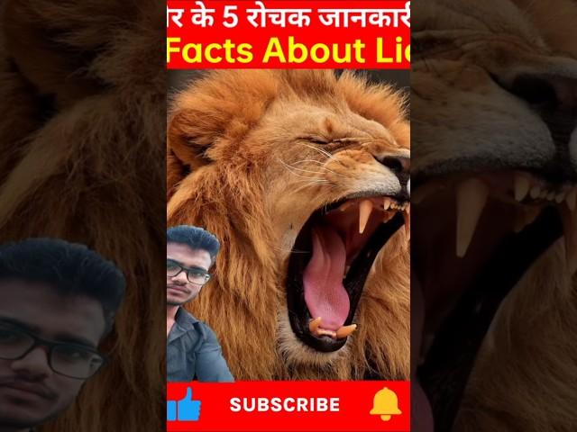5 unique facts about lions #shorts