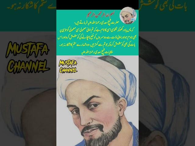 Hikayat Sheikh saadi |Mustafa Channel |