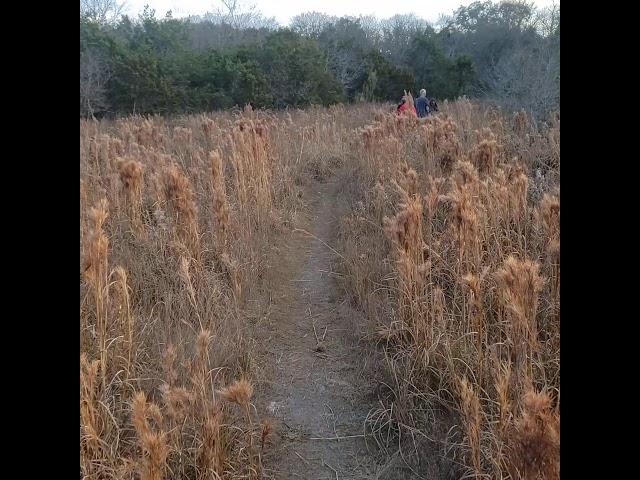 vista oaks trails in Round Rock Dec 25 2020