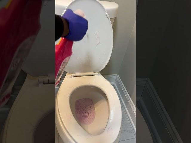 Miracle Bathroom Cleaner or Hype? Testing The Pink Stuff Foam Cleaner!