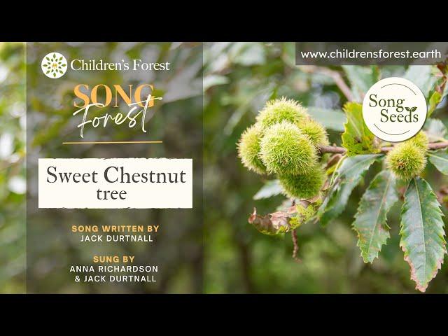 Sweet Chestnut Song