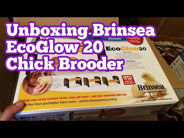 Unboxing Brinsea EcoGlow 20 Chick Brooder