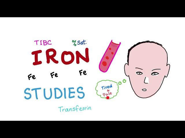 Iron Studies - Serum Fe, TIBC, ferritin & Transferrin  % Saturation