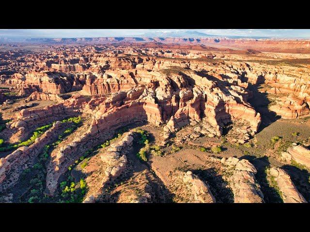 Discovering a Remote Desert Oasis Full of Ancient Ruins