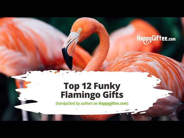 Top 12 Funky Flamingo Gifts