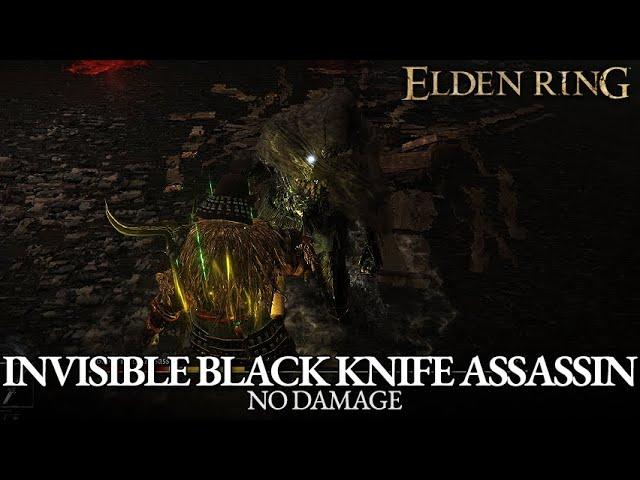 Invisible Black Knife Assassin Boss Fight (No Damage) [Elden Ring]