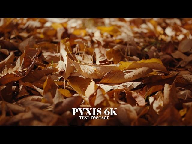 Cinematic Scenes of Fall | Shot on Blackmagic Pyxis 6k