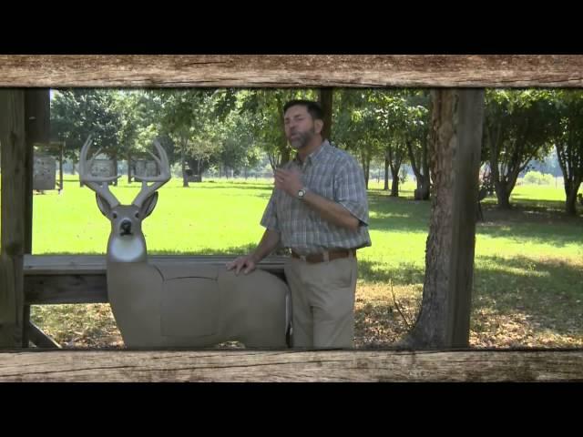 Will Primos reviews GlenDel 3D Targets