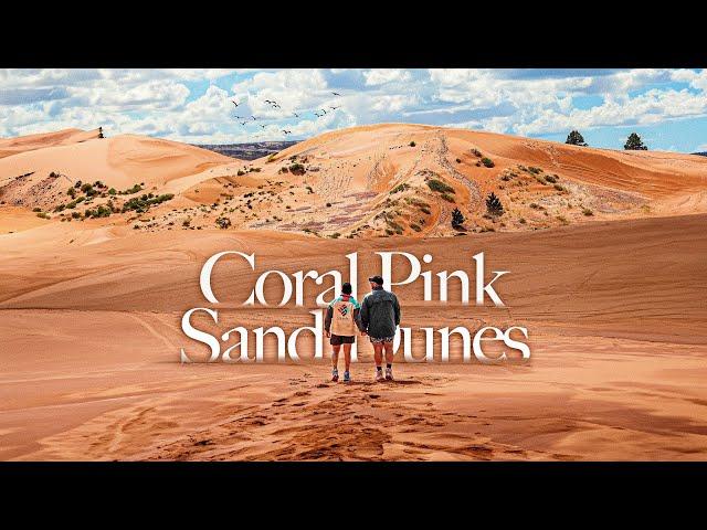 Unforgettable First-Time Sand Sledding at Coral Pink Sand Dunes | Must-Do Desert Adventure