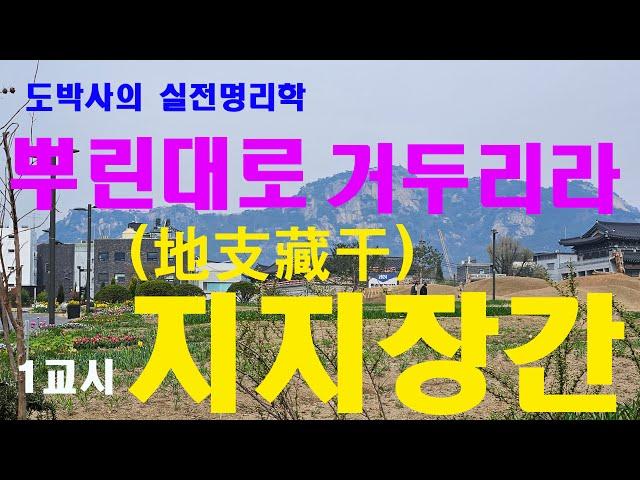 뿌린대로 거두리라 !! - 1교시 지지장간 (地支藏干) -