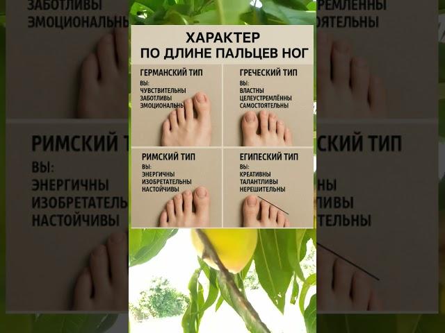 ХАРАКТЕР ПО ФОРМЕ ПАЛЬЦЕВ НОГ — УЛЬТРАРЕАЛИСТИЧЕСКАЯ ТИПОЛОГИЯ