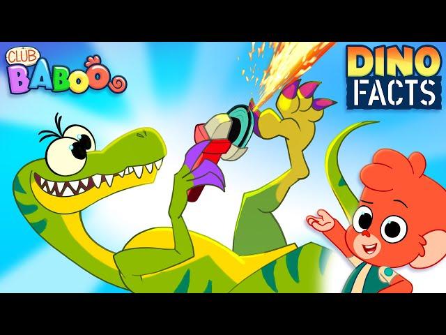 Learn DINO FACTS about VELOCIRAPTOR | Club Baboo | 1 HOUR video | Dinosaurs for Kids | T-Rex & more!