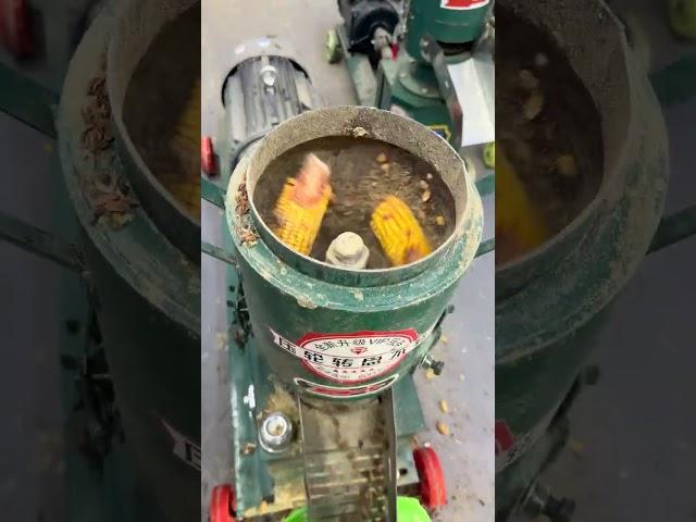 Inclined Rollers in Feed Pellet Machine