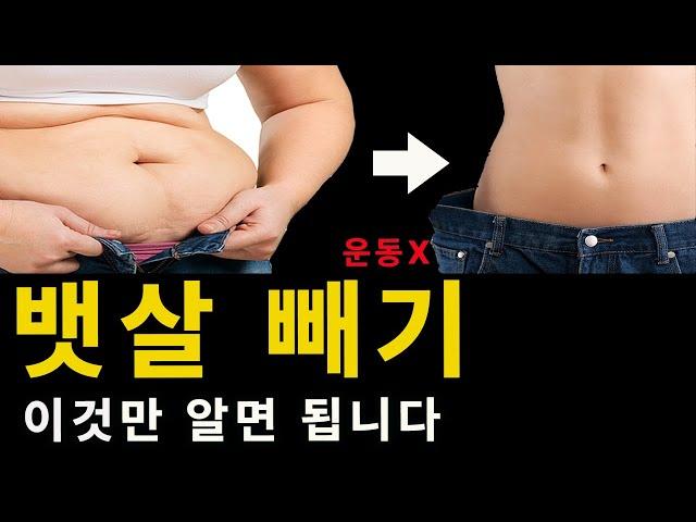 뱃살 빼는 방법 중 간헐적 단식이 최고인 이유 (살 안 빠지는 이유 확인 실험)