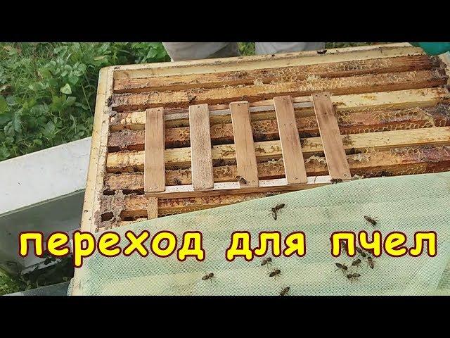 пчеловодство, переход для пчел, зимовка под открытым небом видео