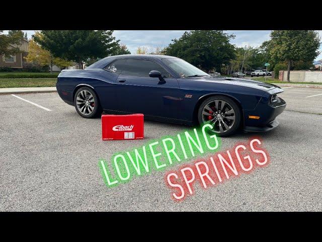 Eibach sport lowering springs