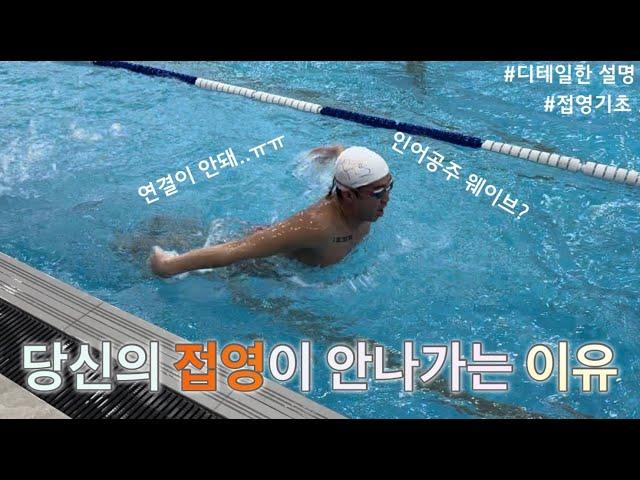 접영 연결이 안되고 앞으로 잘 안나가는 이유(연습방법, 물속동작, 접영웨이브기초)