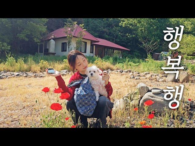 귀촌 할 보령에서 촌캉스 즐긴 날 "찐으로 행복했다" (with 장원영 배우님)  리틀포레스트 같은 5도2촌 시골살이 countryside life