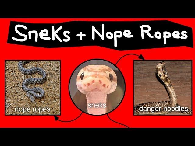 Nope Ropes, Sneks, & Danger Noodles