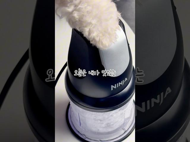 펫푸드까지 섭렵한 닌자초퍼? 