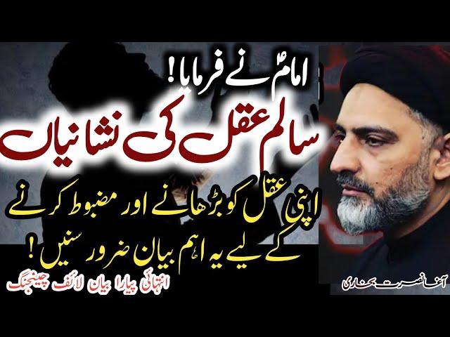 Aqal Ko Mazboot Aur Salim Karne Wali Nishania ! Imam Reza a.s | Maulana Nusrat Abbas Bukhari