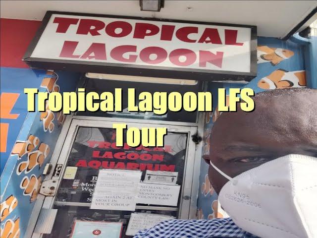 LFS Tour - Tropical Lagoon