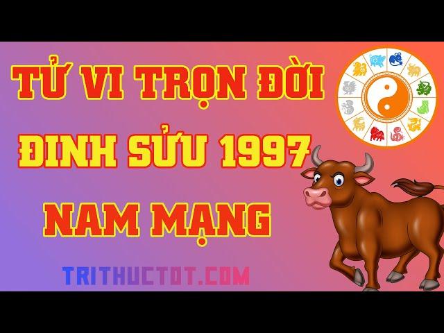  Tử Vi Trọn Đời Đinh Sửu 1997 Nam Mạng