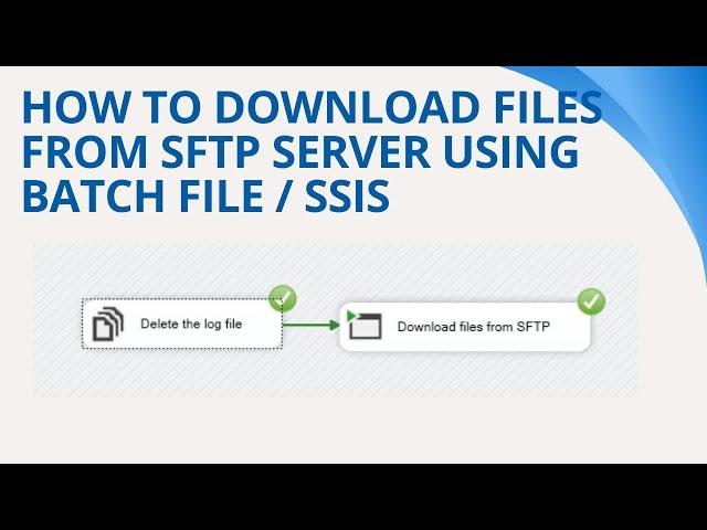 148 How to download files from sftp server using batch file / command line / ssis / WinScp