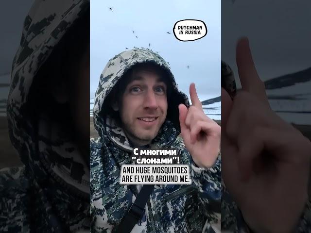 Остался один в тундре