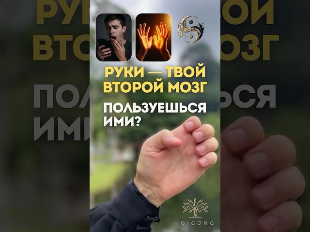  Руки — твой второй мозг. Пользуешься ими? #цигундлямозга  #здоровьебезтаблеток