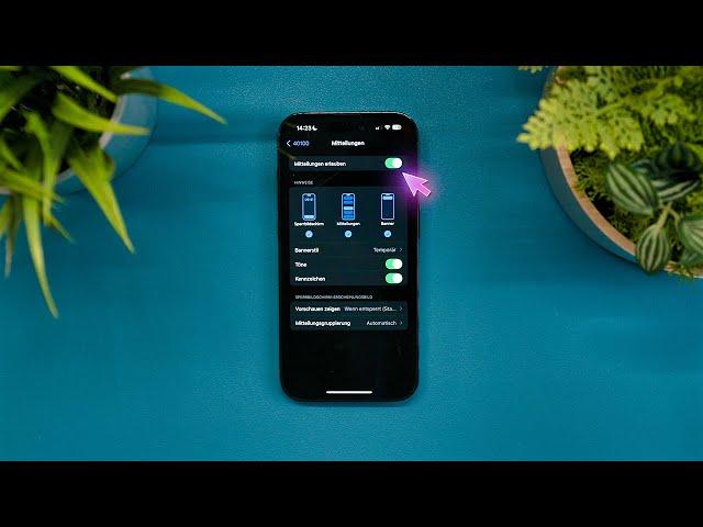 iPhone Benachrichtigungen anpassen
