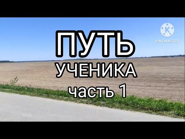 путь ученика ч. 1 #metaldetector  #сигнум #обучение #Акасигнум